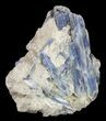 Vibrant Blue Kyanite Crystal In Quartz - Brazil #56924-1